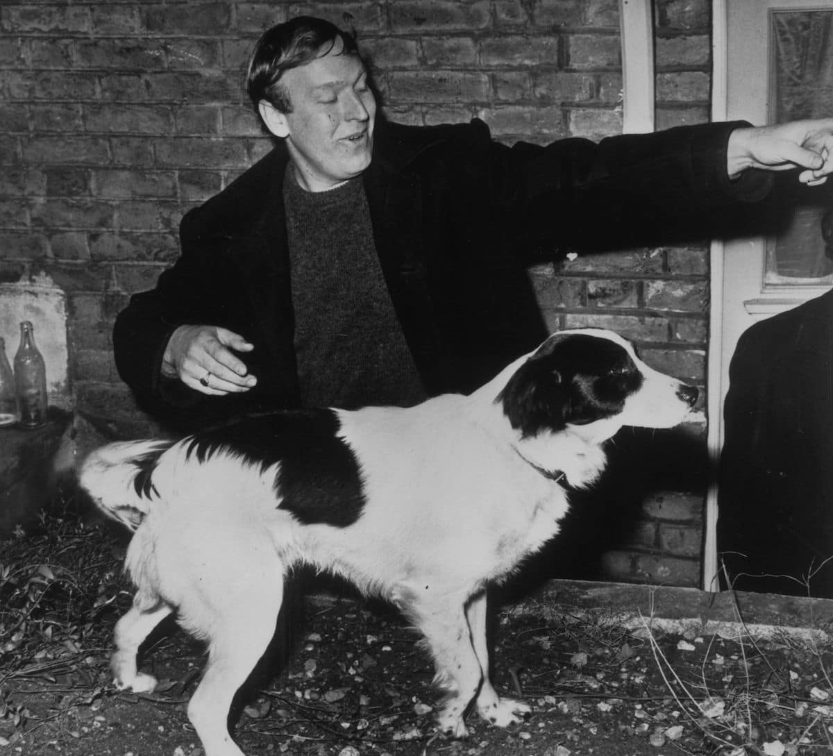 Pickles the Dog, who found the Jules Rimet Trophy ahead of the 1966 World Cup, with his owner David Corbett