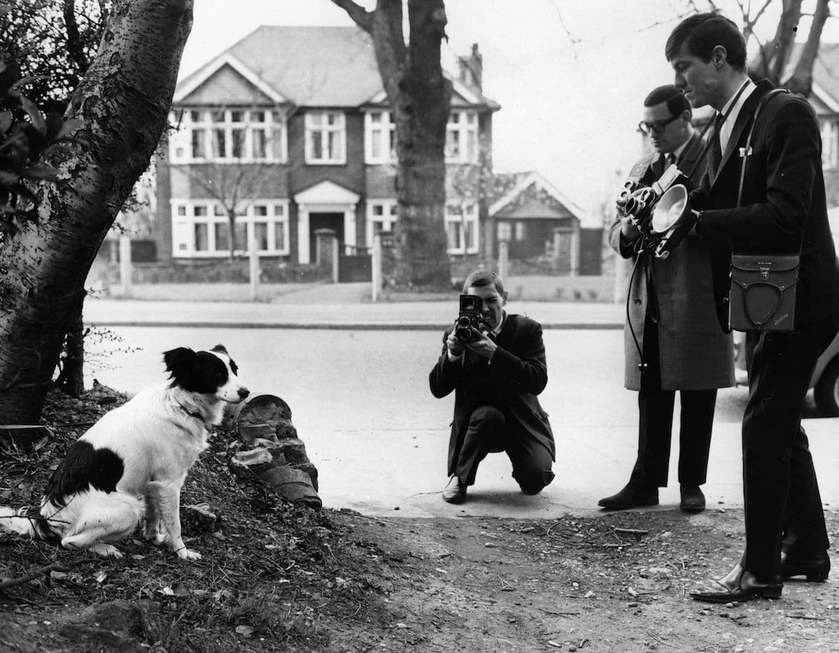 Pickles the Dog is the toast of the media after finding the World Cup before the 1966 World Cup