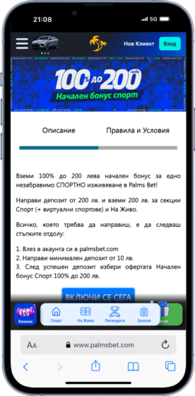 Palms bet промо код бонус спор