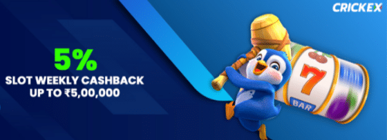 Crickex Slots Weekly Cashback