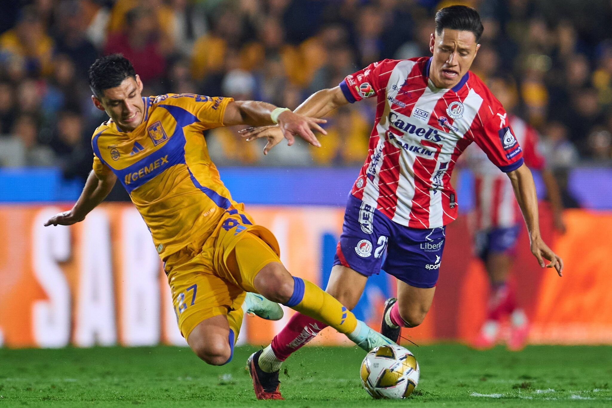 Tijuana vs Toluca prediction, odds & betting tips &ndash; 01/11/2025