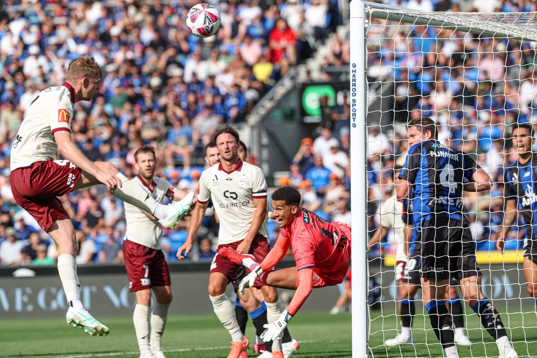 Brisbane Roar vs Auckland prediction, odds & betting tips &ndash; 30/03/2025