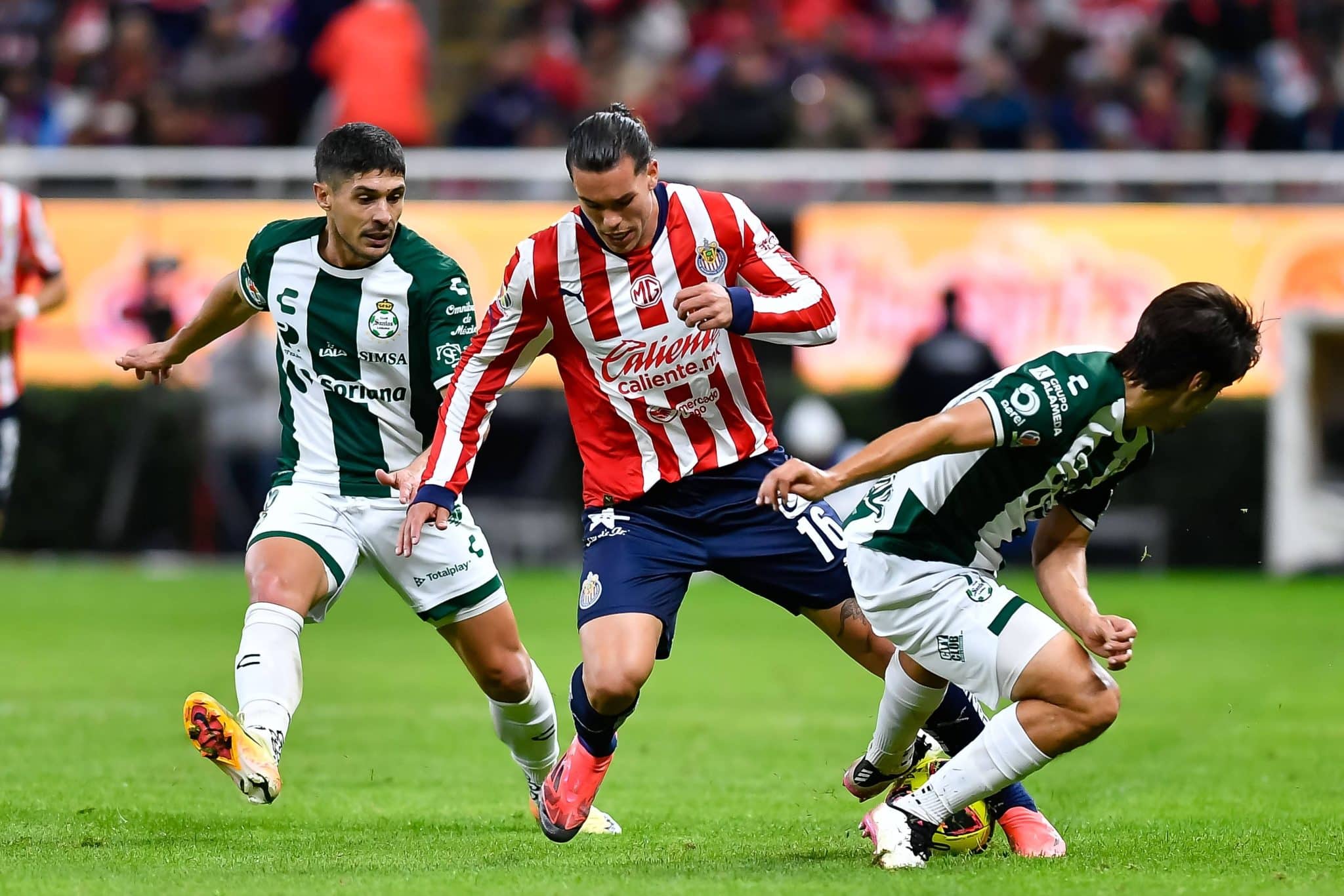 Necaxa vs Guadalajara prediction, odds & betting tips &ndash; 01/18/2025