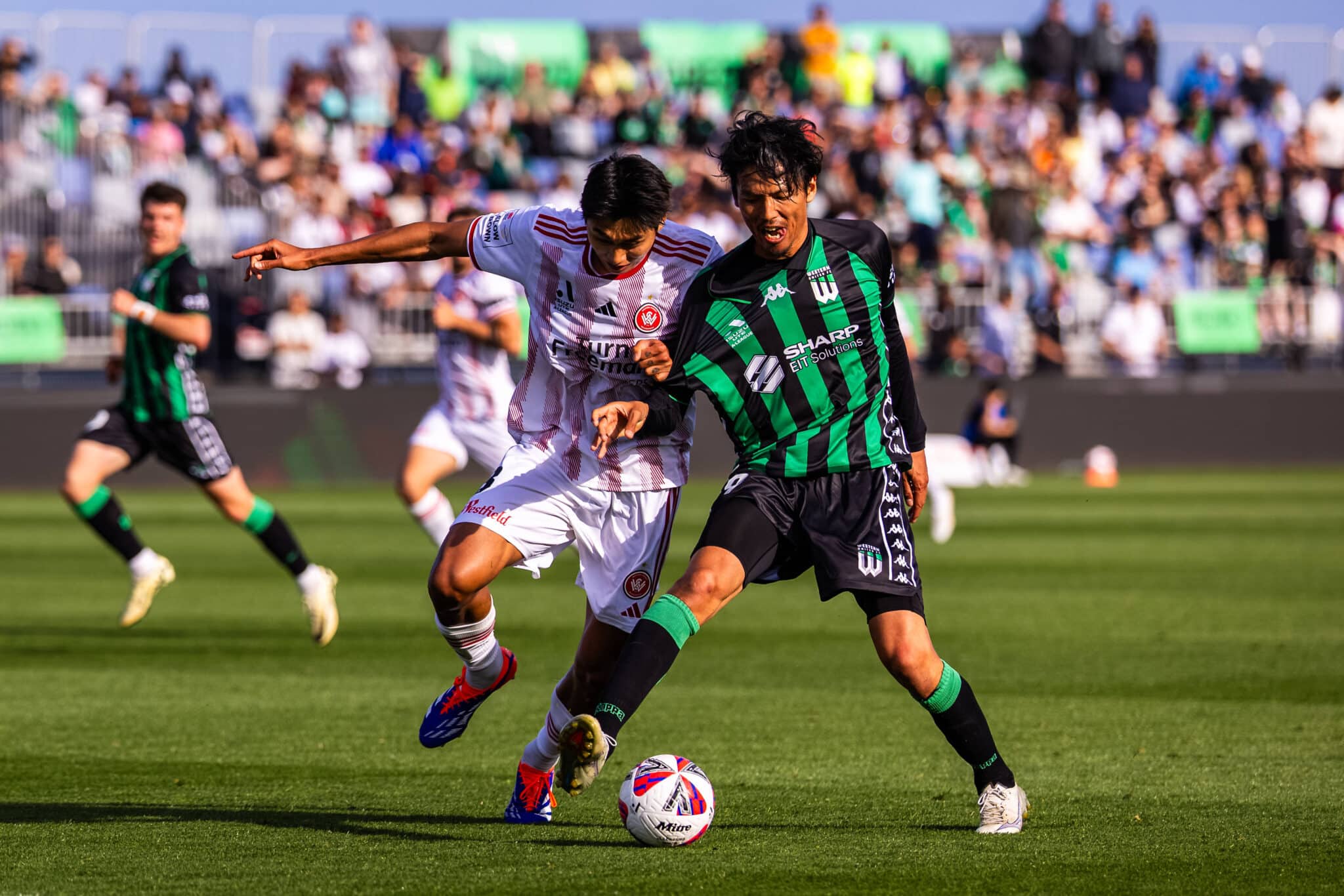 Adelaide United vs Western United predictions, odds & betting tips &ndash; 09/11/2024