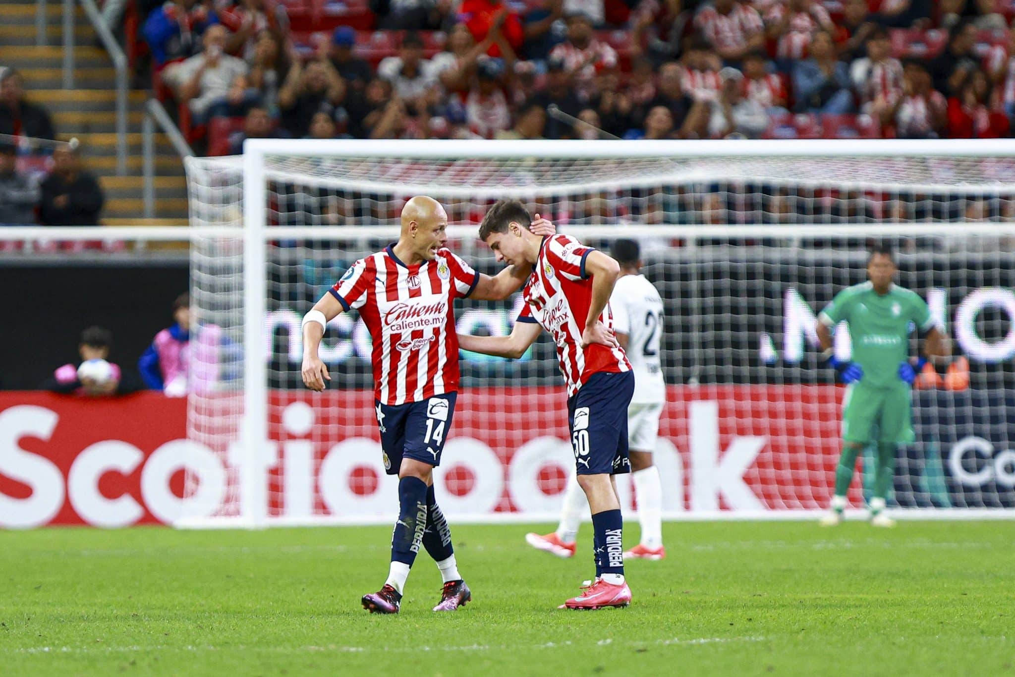 Pumas UNAM vs Guadalajara prediction, odds & betting tips &ndash; 03/02/2025