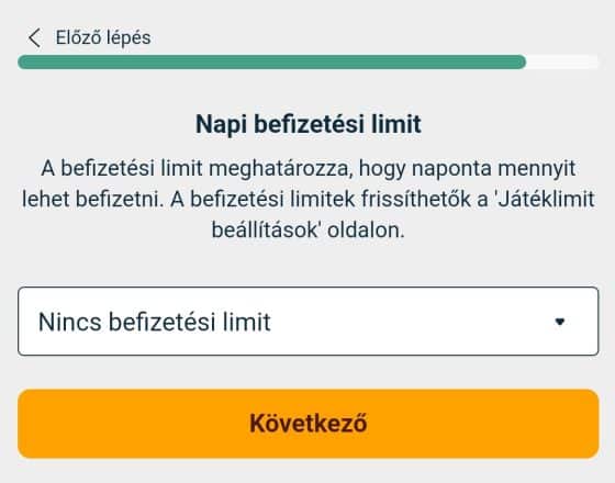 Befizet&eacute;si limit be&aacute;ll&iacute;t&aacute;sa