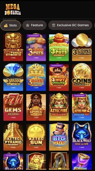 Mega Bonanza social casino