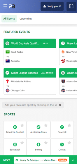 Palmerbet sports betting options
