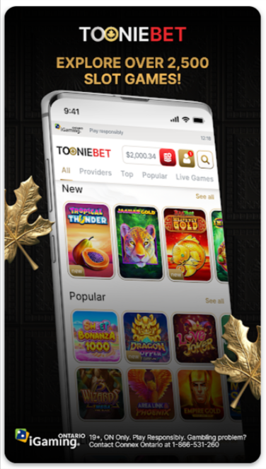 toonibet-casino-bonuses