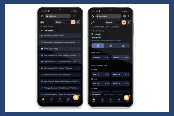 Odds96 Review on Sportsbook