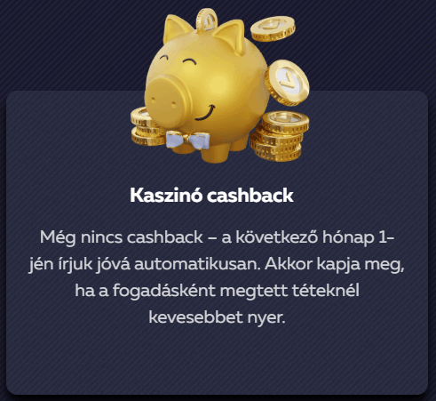Kaszin&oacute; cashback Vavada