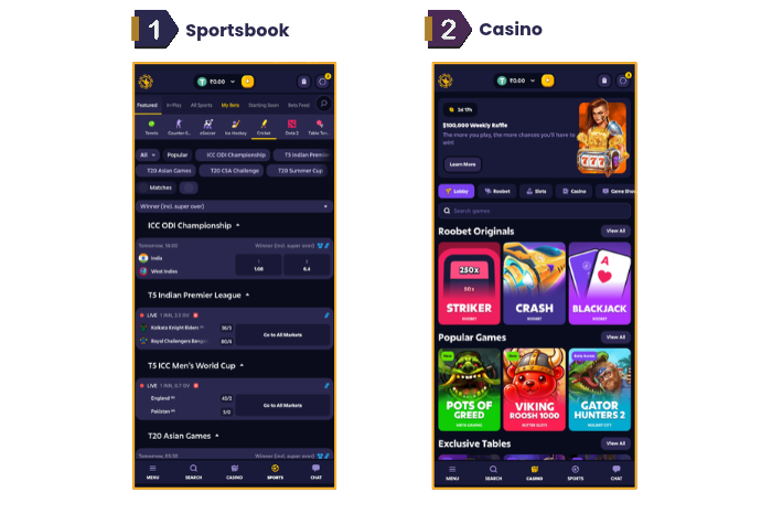 An image showing Roobet sportsbook and Roobet casino in our Roobet review