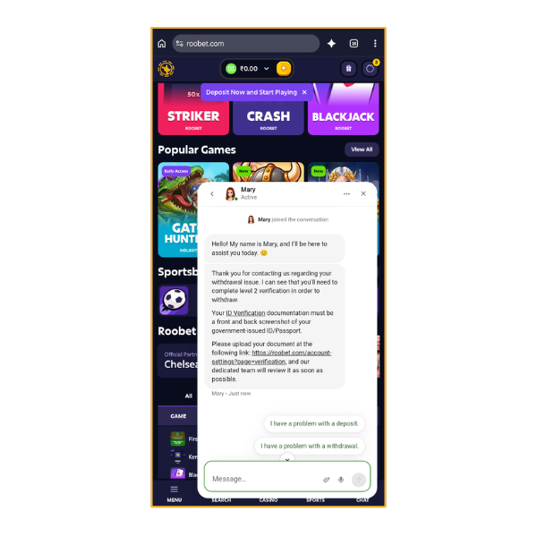 An image showing the chat transcript of the conversation with Roobet live chat