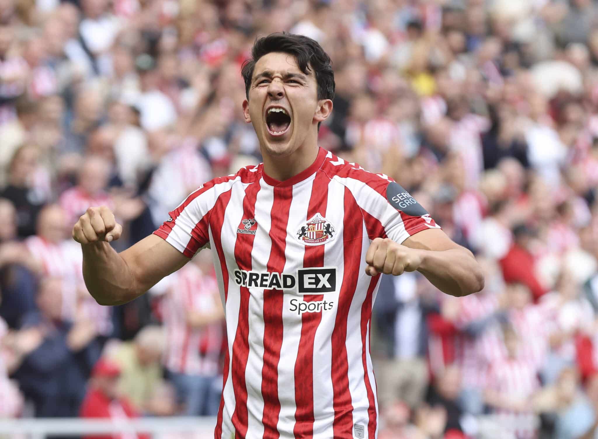 Sheff Wed vs Sunderland prediction