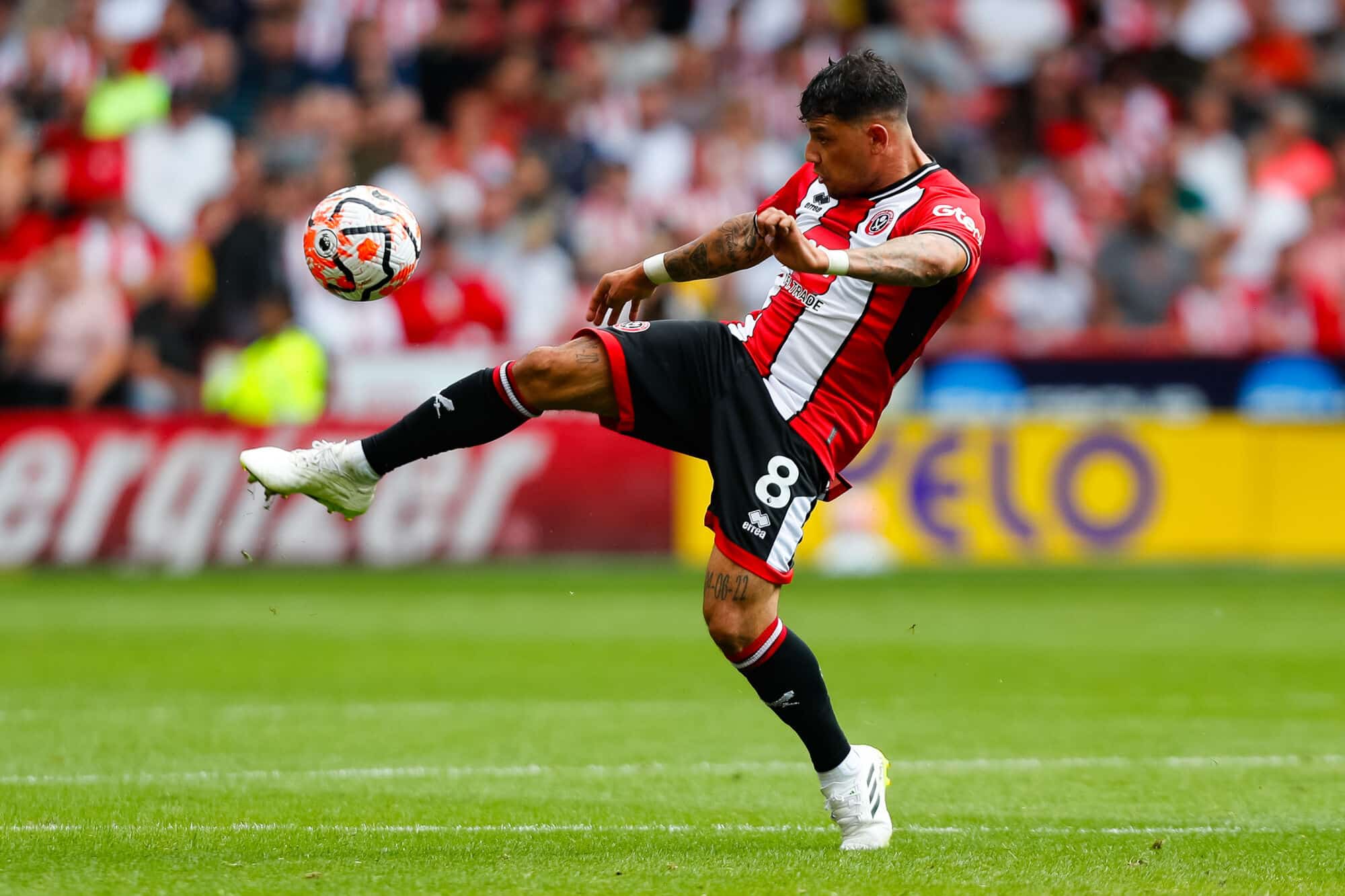 Gustavo Hamer of Sheffield United
