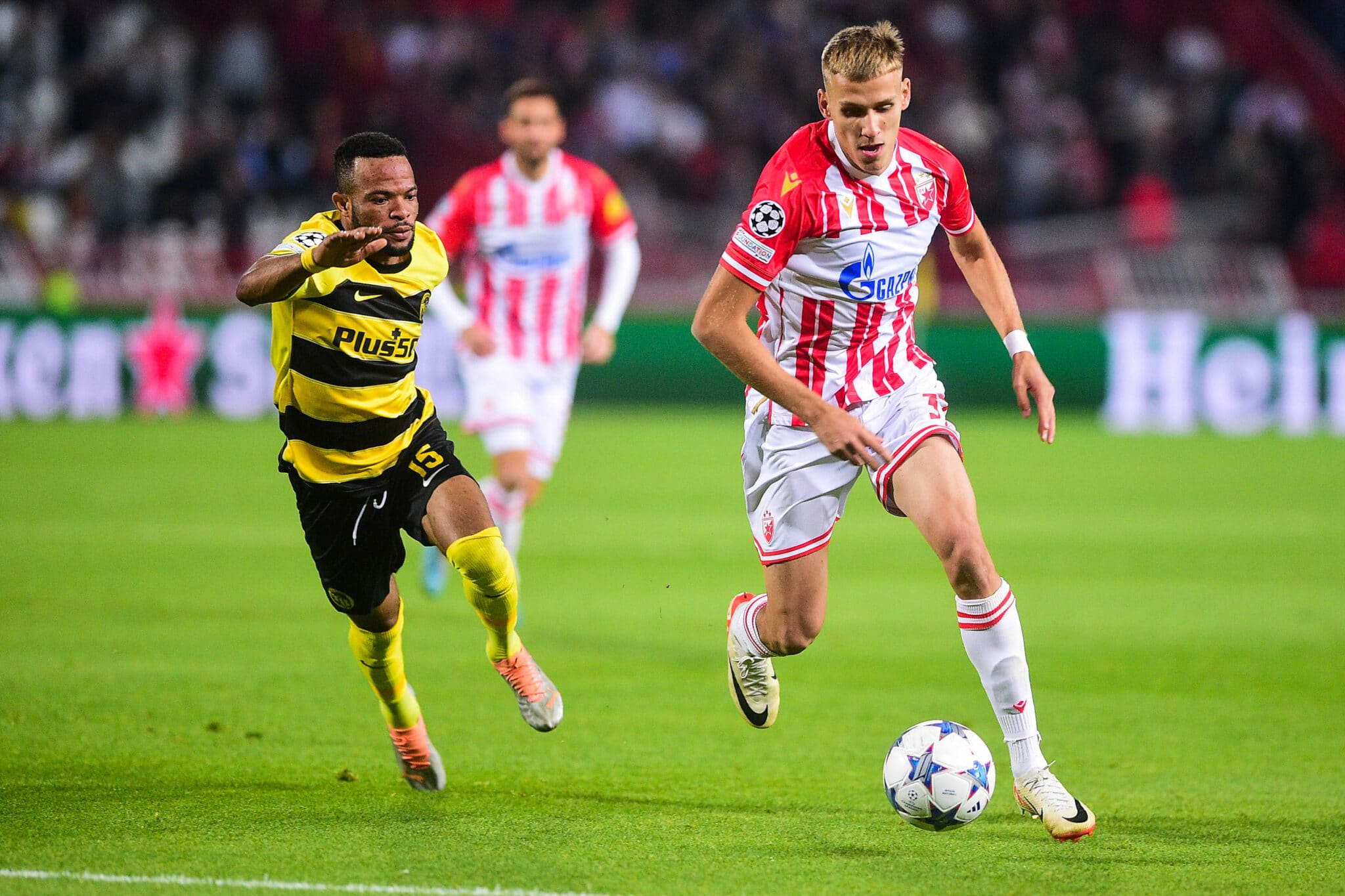 stadionu Rajko Mitic