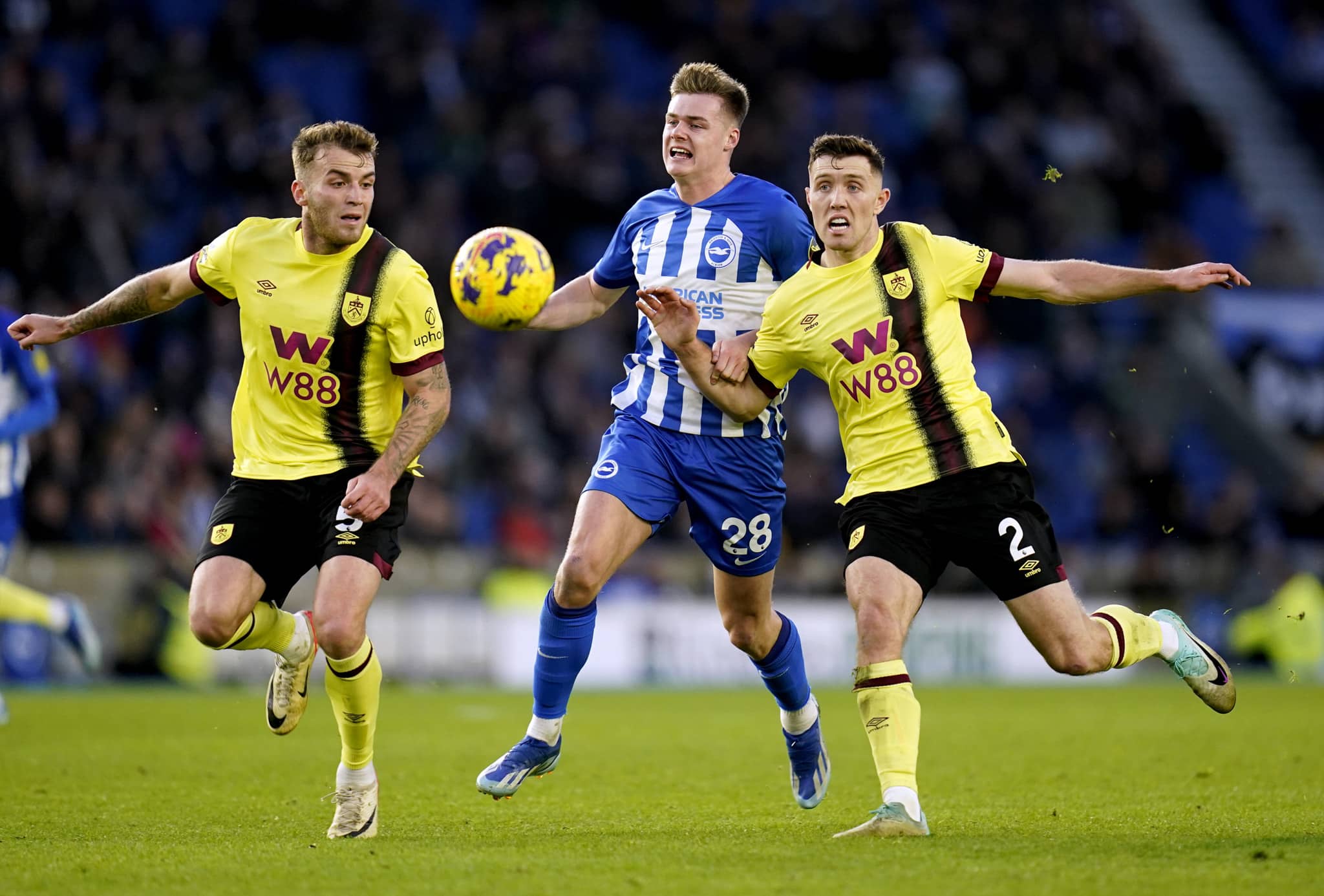 Burnley vs Brighton prediction