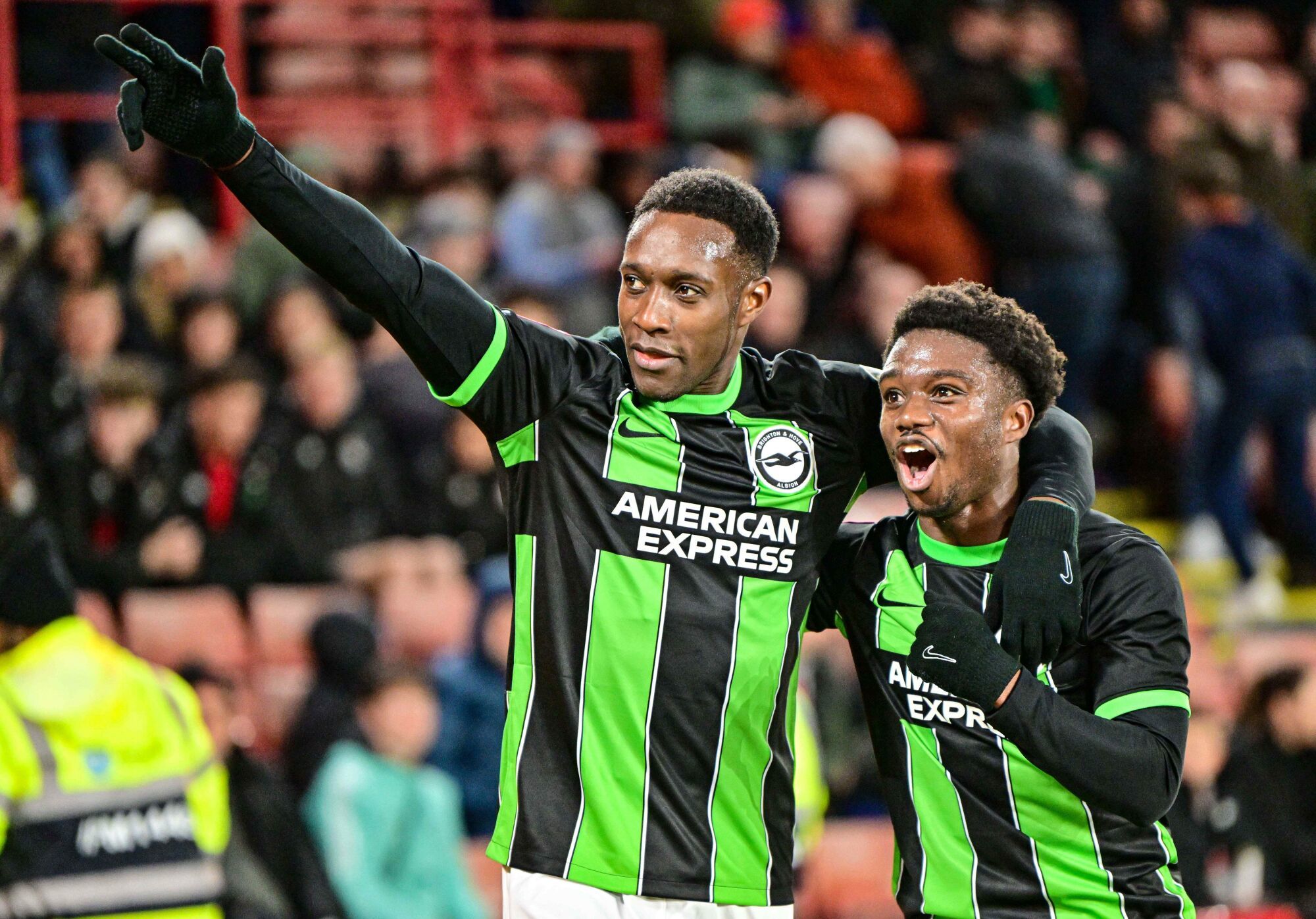 sheff utd vs brighton prediction