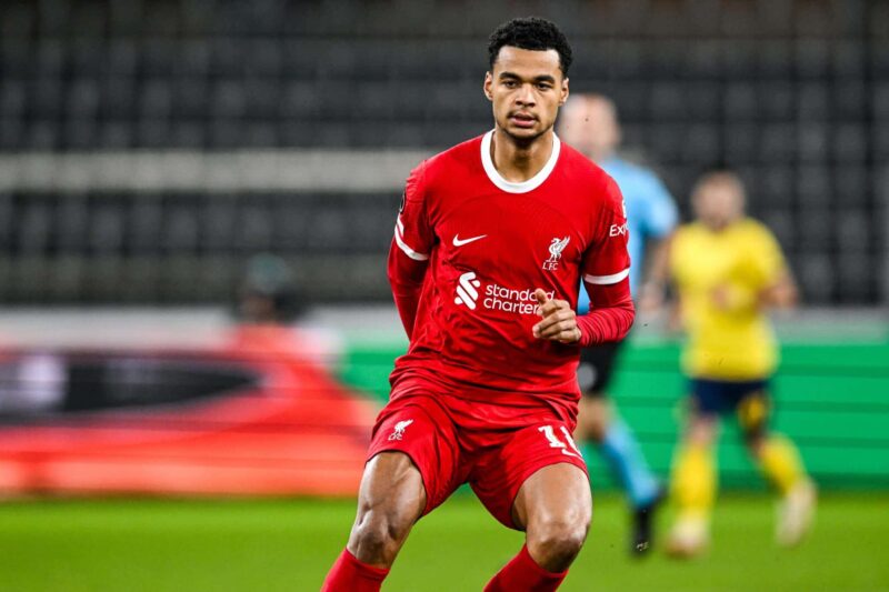 Liverpool's Cody Gakpo