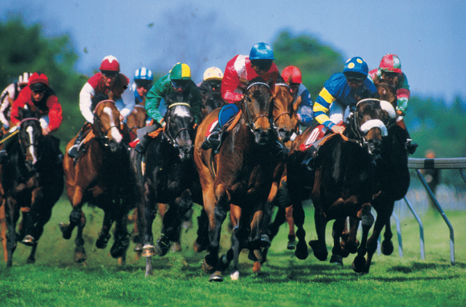 Lucky 15 Cheltenham festival