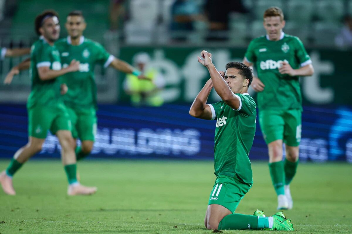 Petrocub vs Ludogorets prediction, odds & betting tips &ndash; 29/08/2024