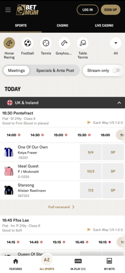 betmgm horse racing & other sports markets