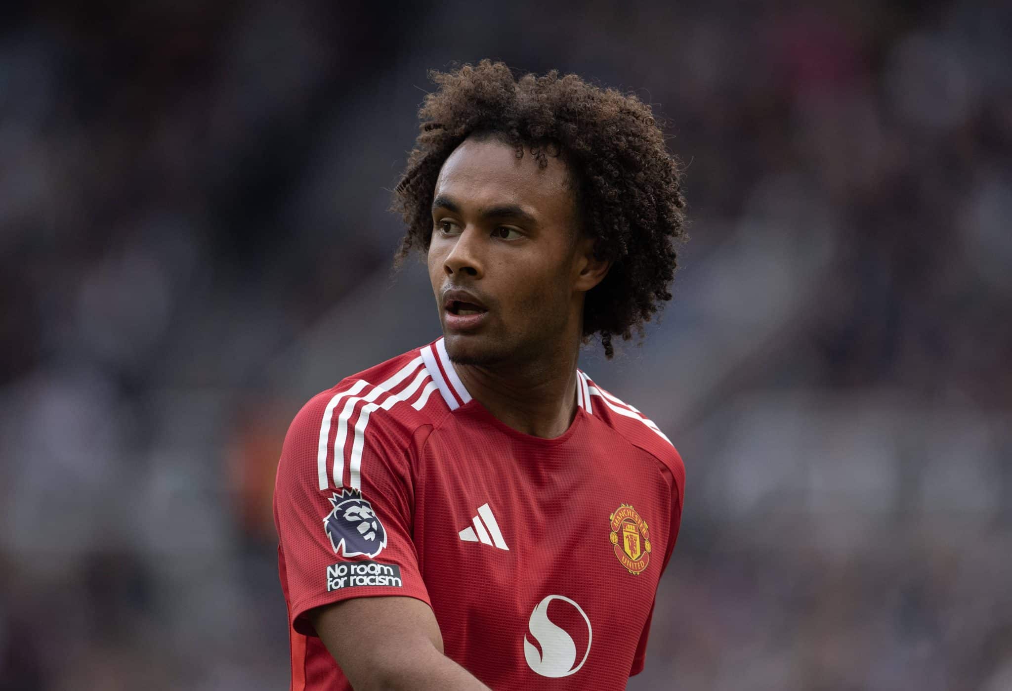 Joshua Zirkzee transfer