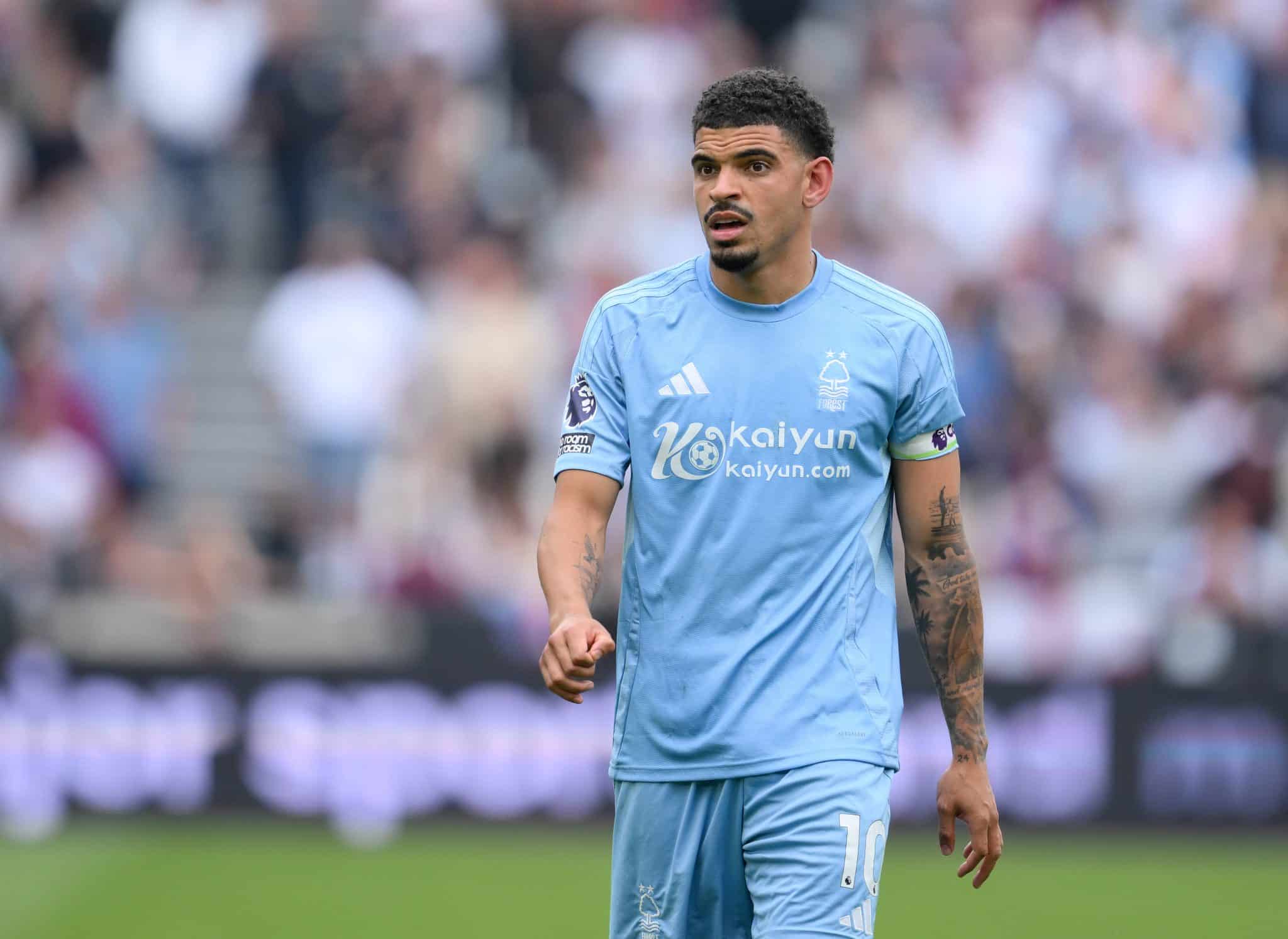 Morgan Gibbs-White transfer