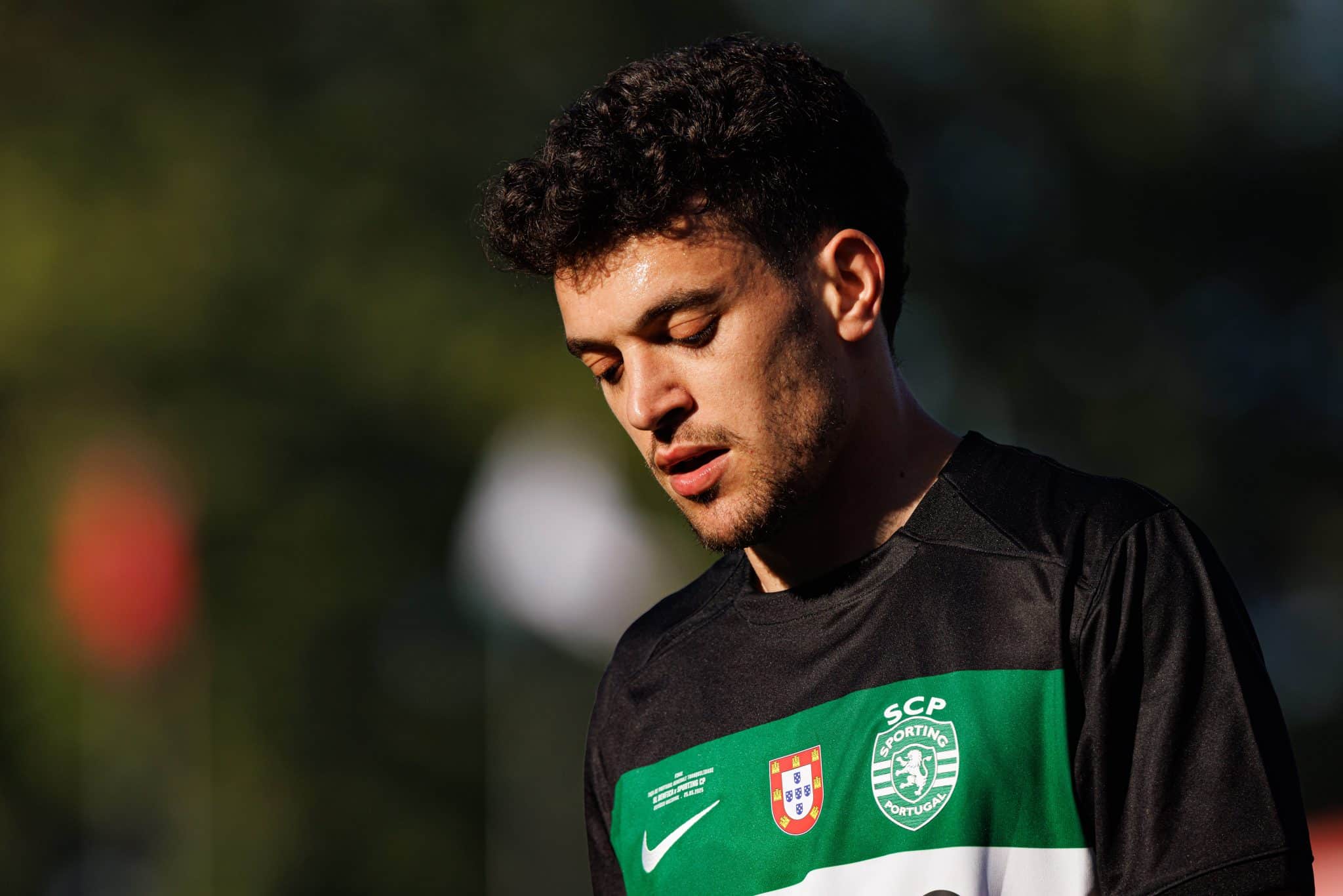 Pedro Goncalves transfer