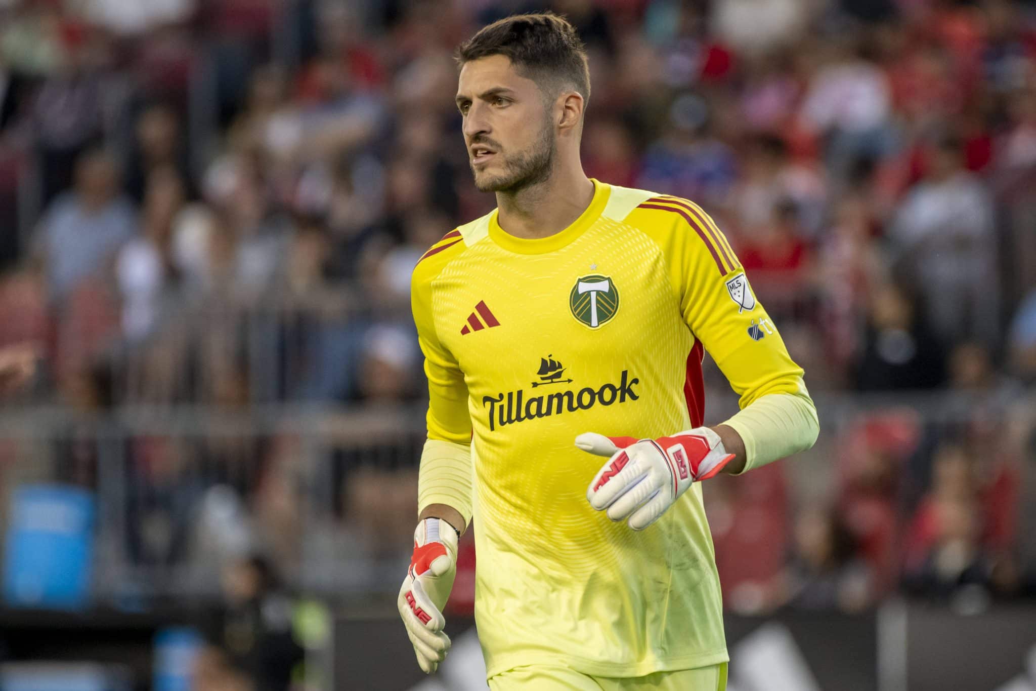 Portland Timbers vs Minnesota United prediction, odds & betting tips 20/07/2025