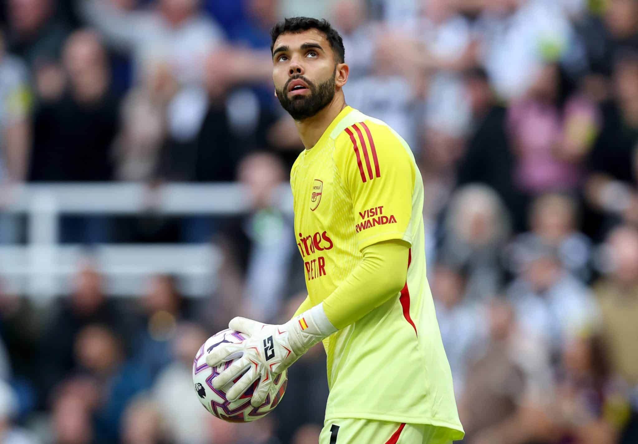 David Raya Arsenal