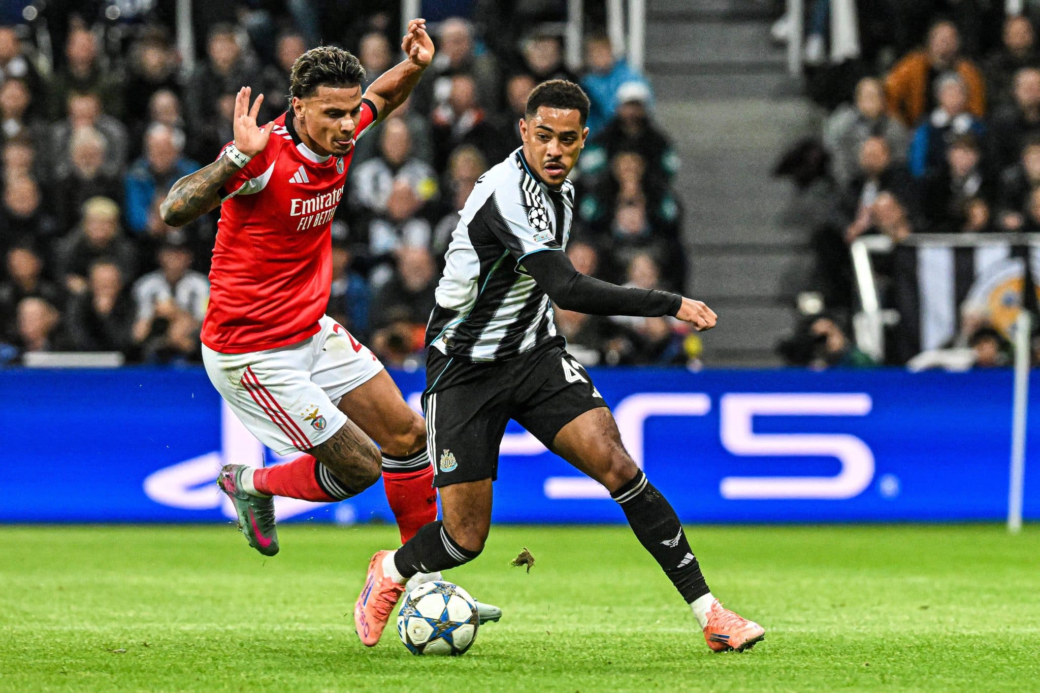 Newcastle vs Fulham prediction, odds & betting tips 25/10/2025