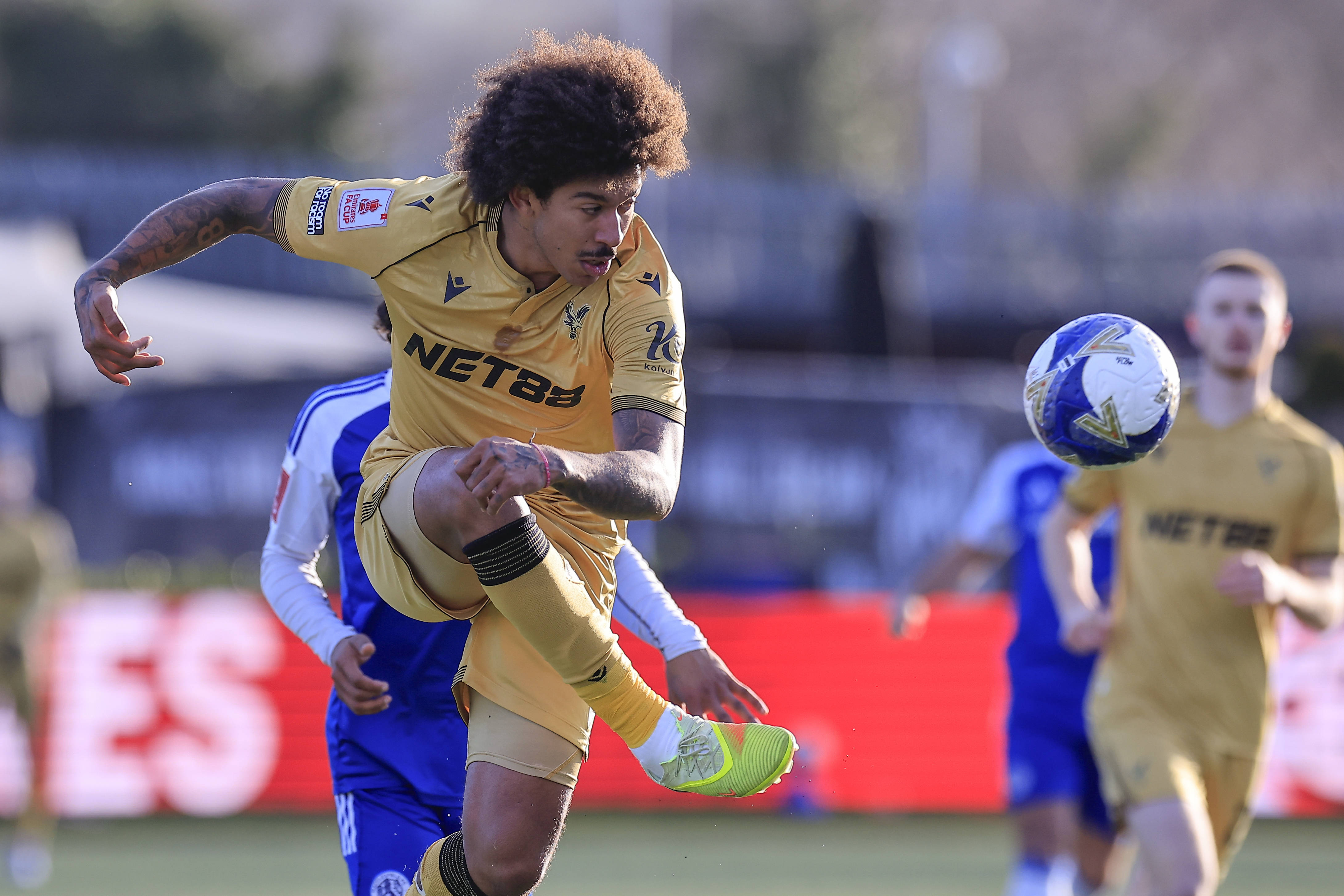 Sunderland vs Crystal Palace prediction, odds & betting tips 17/01/2026