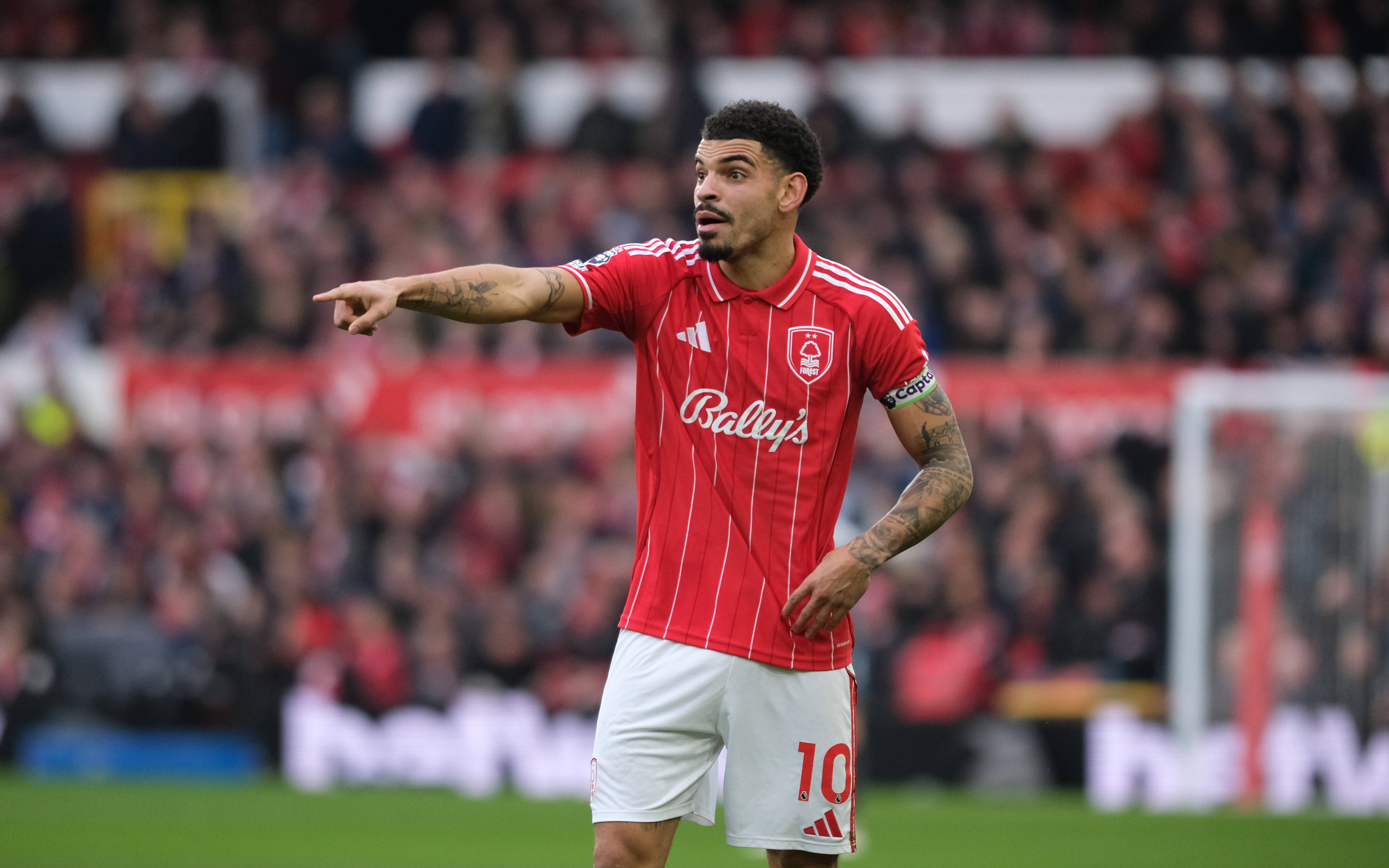 Nottingham Forest vice-captain Morgan Gibbs-White