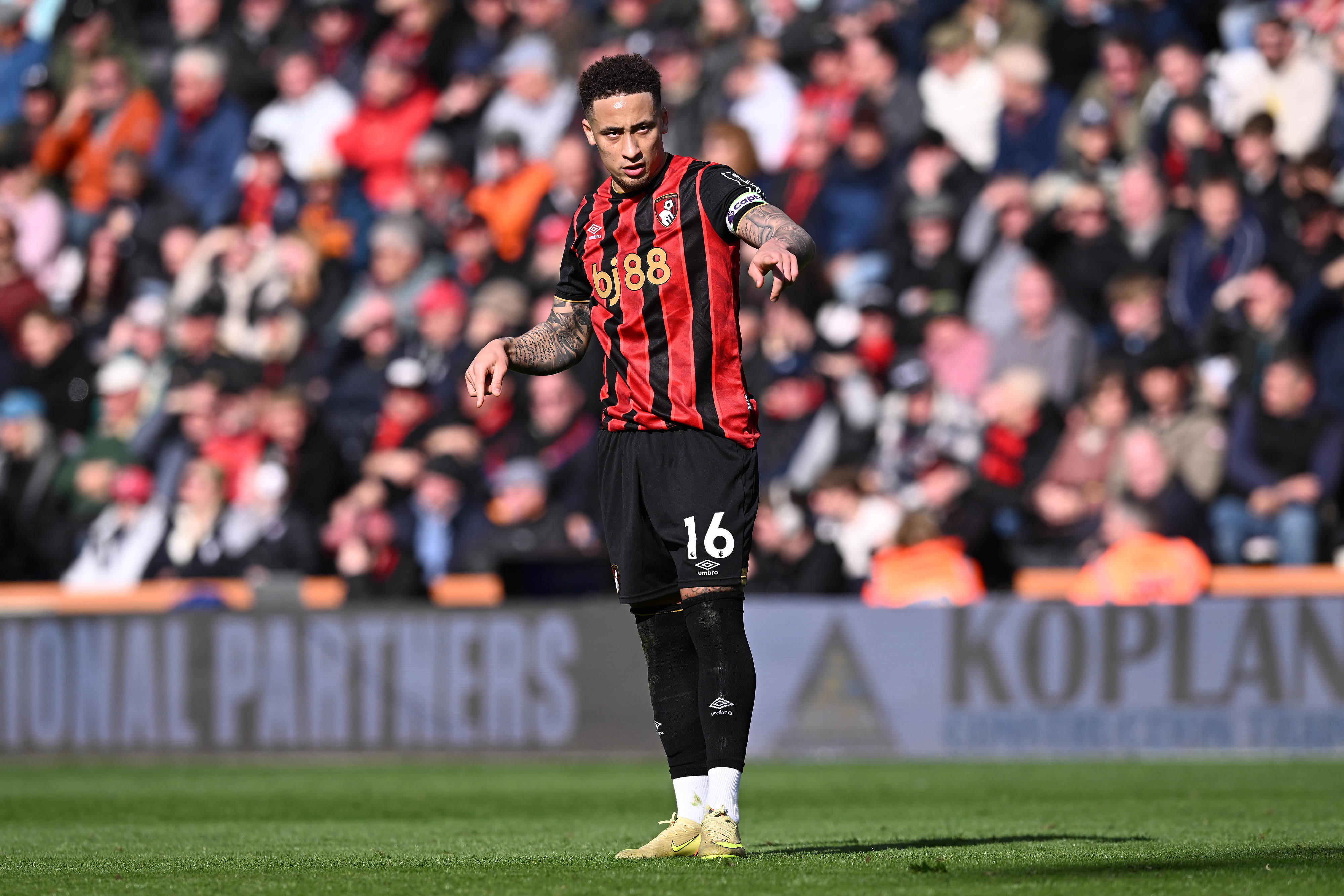 Marcus Tavernier of Bournemouth