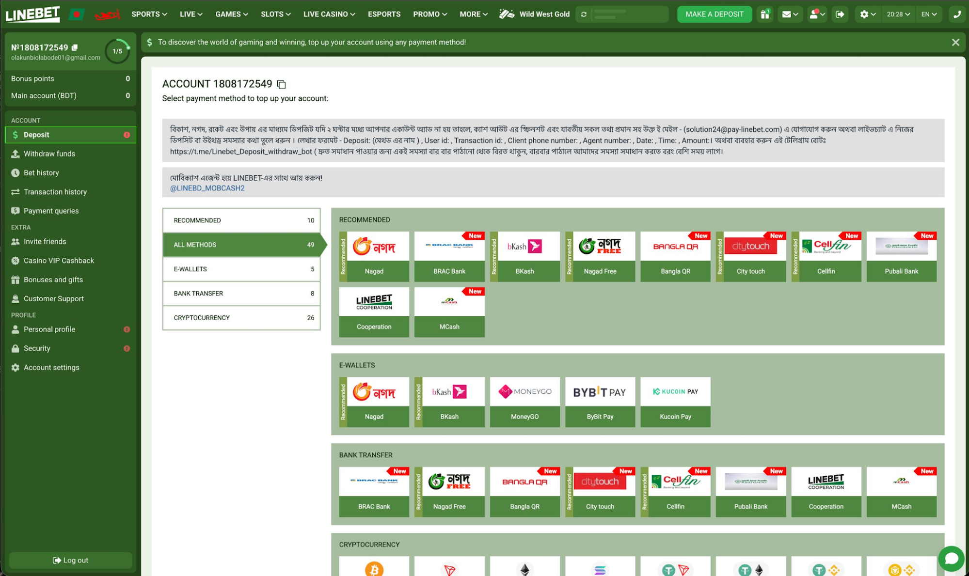 Linebet Bangladesh cashier showing available deposit and withdrawal payment methods
