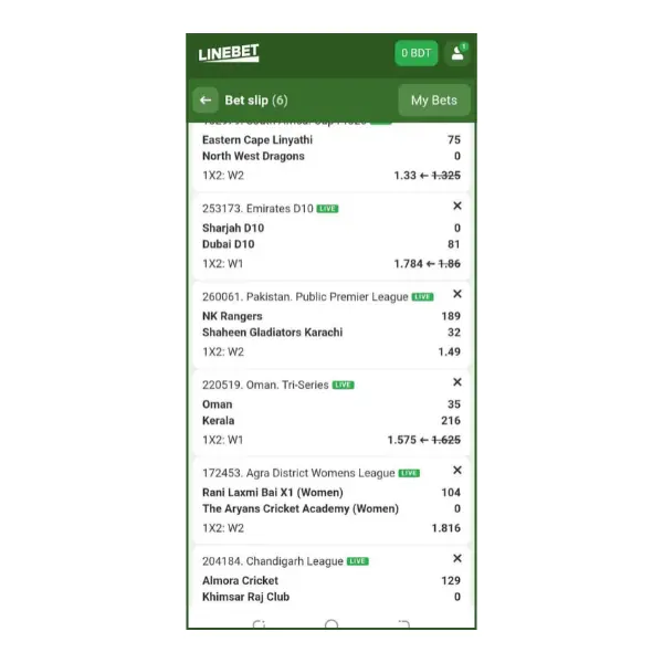An image showing the bet slip on Linebet mobile app 